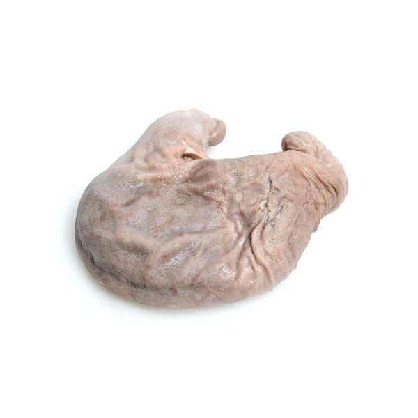 Pork Stomach