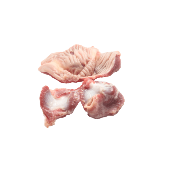 Chicken Gizzard