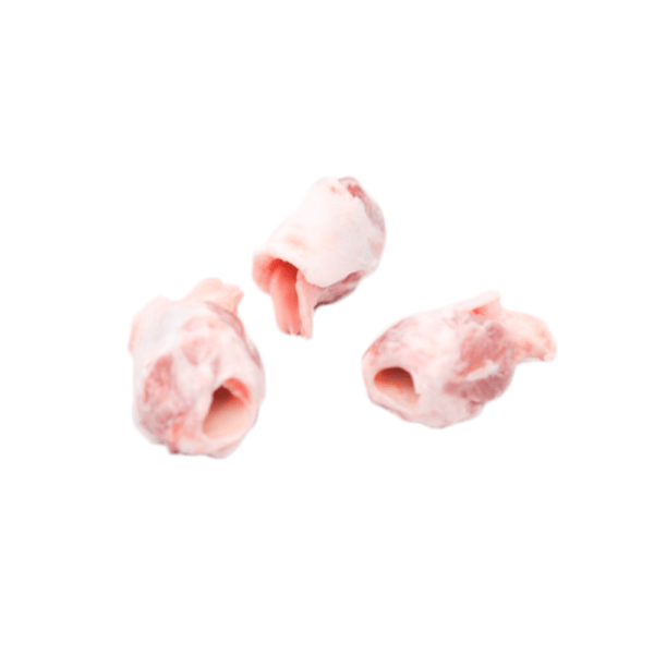 Tracheal Cartilages