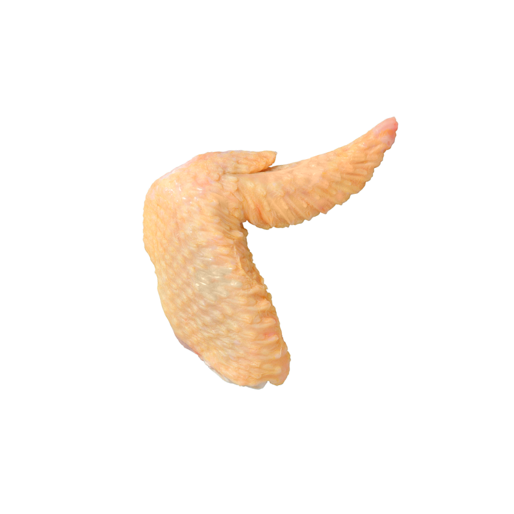 Chicken Wing Second Segment