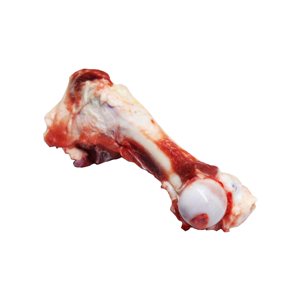 Pork Femur Bone