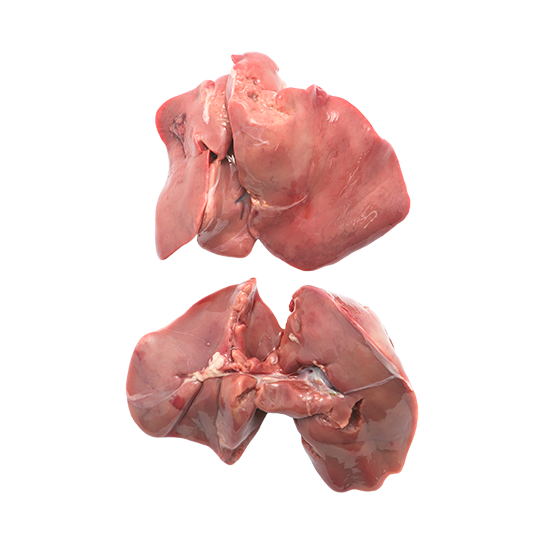 Chicken Liver